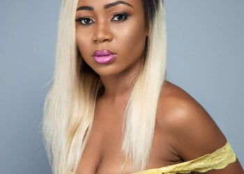 Akuapem Poloo convicted after pleading guilty