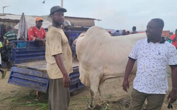 KEDA Ceramics & Herbert Mensah Donate To Muslim Feast